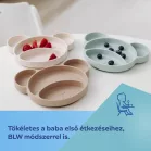 Canpol Babies MEDVÍDEK silikonový dělený talíř s přísavkou 500 ml, 6m+ – krémový